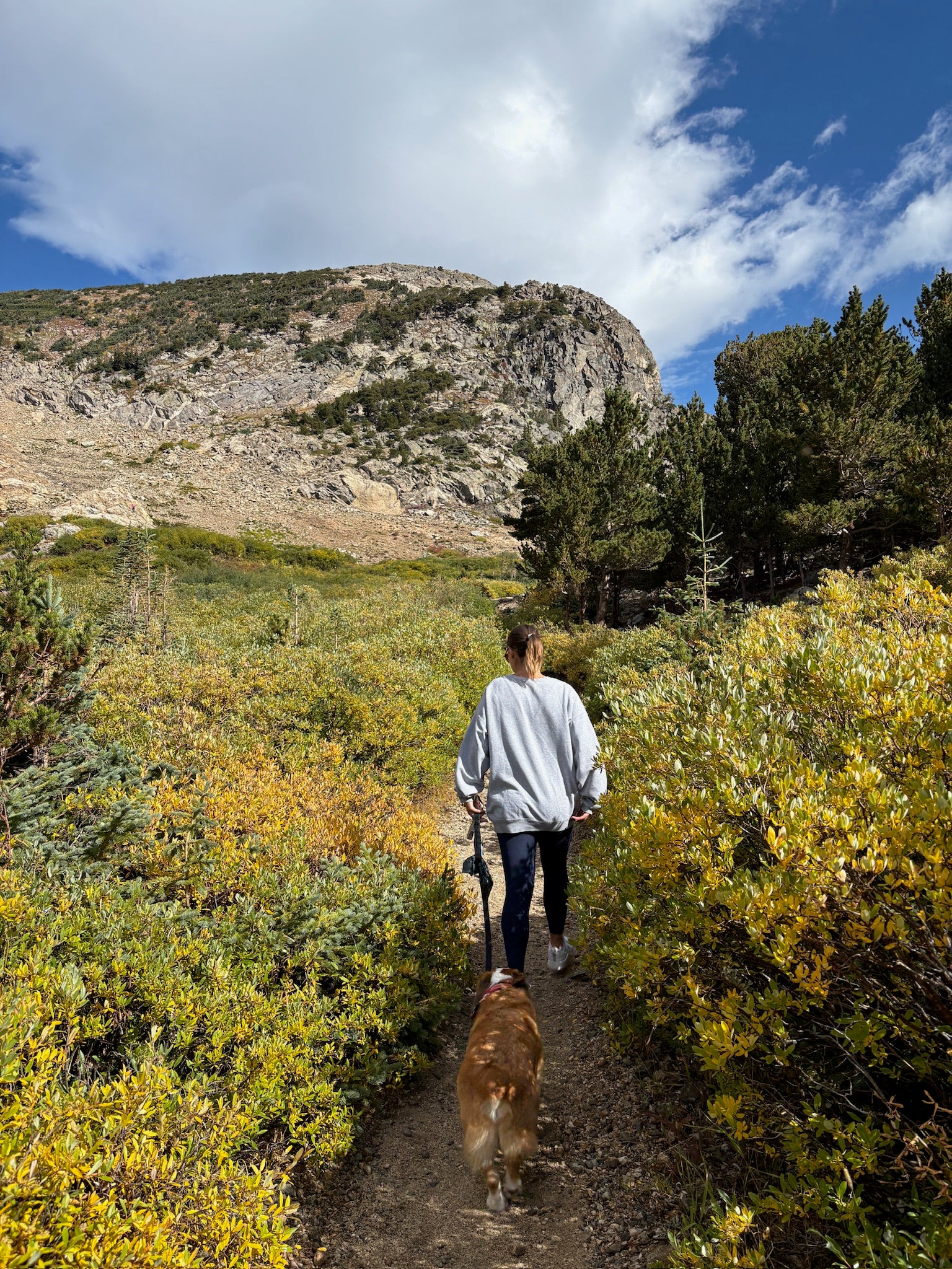 Mountain hiking with dog