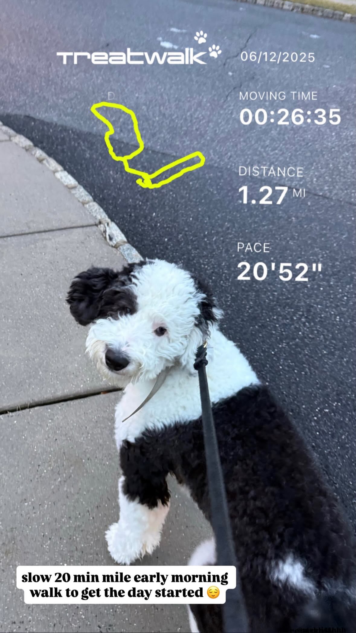 Walk summary